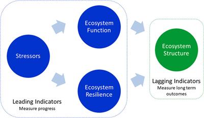 Improving ecosystem health in highly altered river basins: a generalized framework and its application to the Mississippi-Atchafalaya River Basin